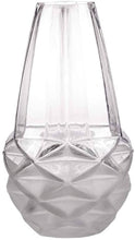 Load image into Gallery viewer, Faceted Frosted Vase Clear