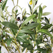 Load image into Gallery viewer, Artificial Olive Tree in Black Plastic Pot, 1pc/set: 7'