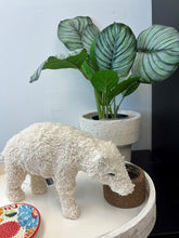 Load image into Gallery viewer, Knitted Bocule Bear