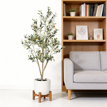 Load image into Gallery viewer, Artificial Olive Tree in Black Plastic Pot, 1pc/set: 7'