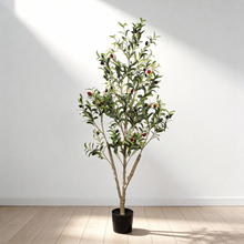 Load image into Gallery viewer, Artificial Olive Tree in Black Plastic Pot, 1pc/set: 7'