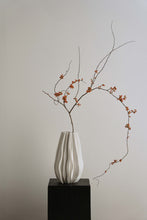 Load image into Gallery viewer, Ceramic Vase