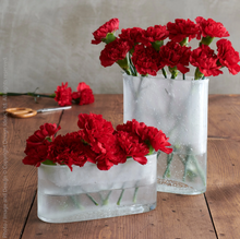 Load image into Gallery viewer, Glacier Glass Vase