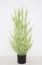 Load image into Gallery viewer, Faux Juniper Plant with Pot