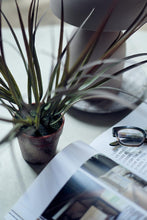 Load image into Gallery viewer, Ombre Grass in Pot