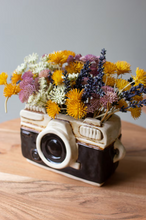 Load image into Gallery viewer, Ceramic Camera Planter