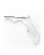 Load image into Gallery viewer, Florida State Plate
