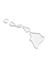 Load image into Gallery viewer, Hawaii State Plate