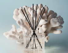 Load image into Gallery viewer, Ocean Mist & Sea Salt Reed Diffuser