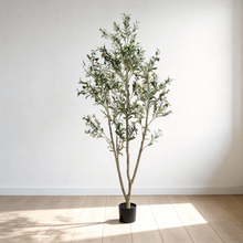 Load image into Gallery viewer, Artificial Olive Tree in Black Plastic Pot, 1pc/set: 7'