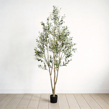 Load image into Gallery viewer, Artificial Olive Tree in Black Plastic Pot, 1pc/set: 7'