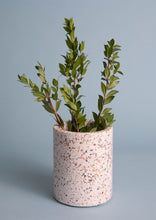 Load image into Gallery viewer, Terrazzo Wine Cooler