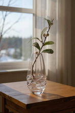 Load image into Gallery viewer, Faceted Frosted Vase Clear
