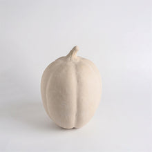 Load image into Gallery viewer, Paper Mache Pumpkin
