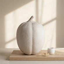Load image into Gallery viewer, Paper Mache Pumpkin
