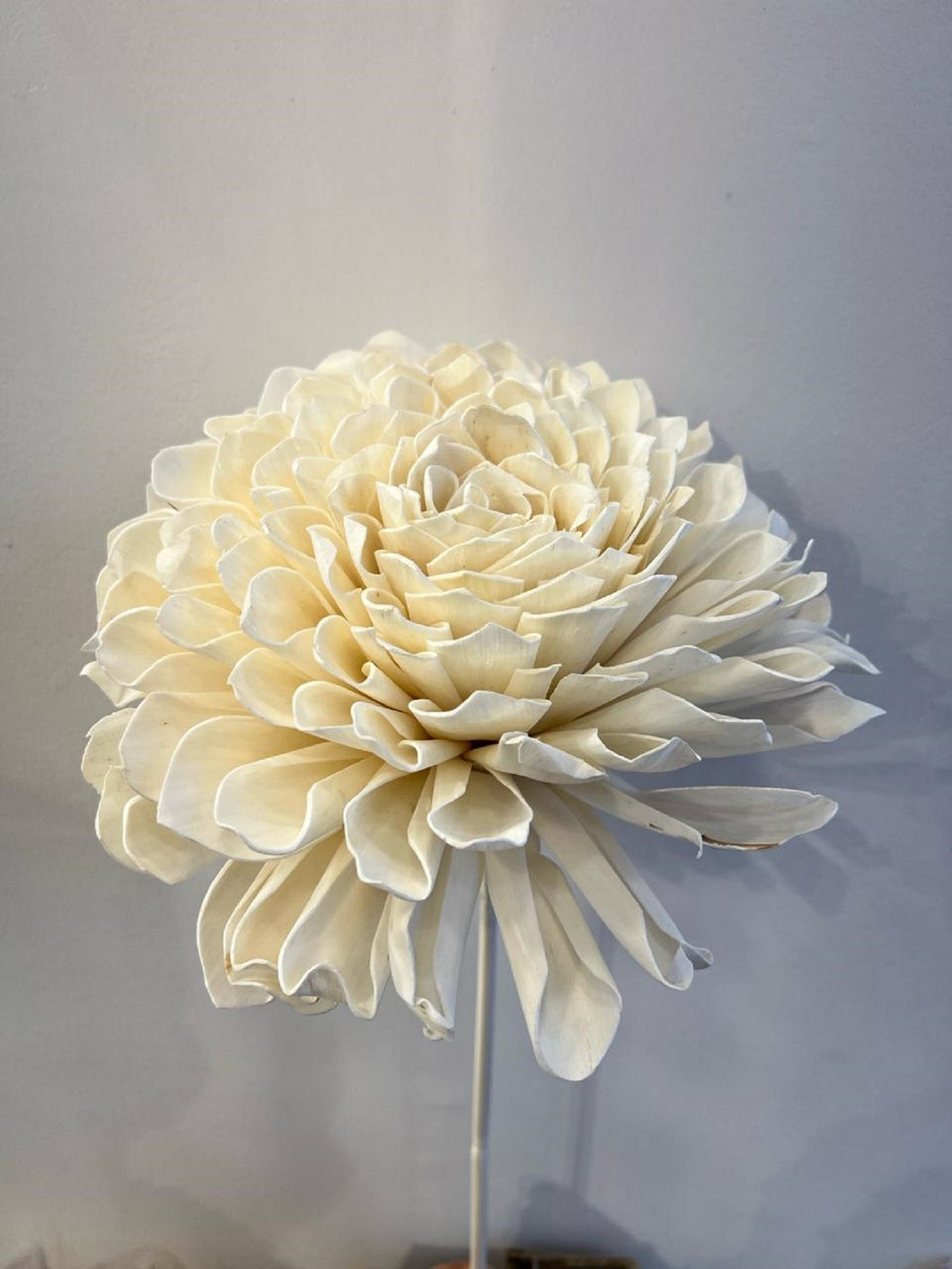 Handmade Shola Dalia Flower on Natural Stem