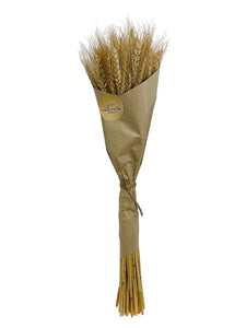 Wheat Grass in Craft Paper Wrap