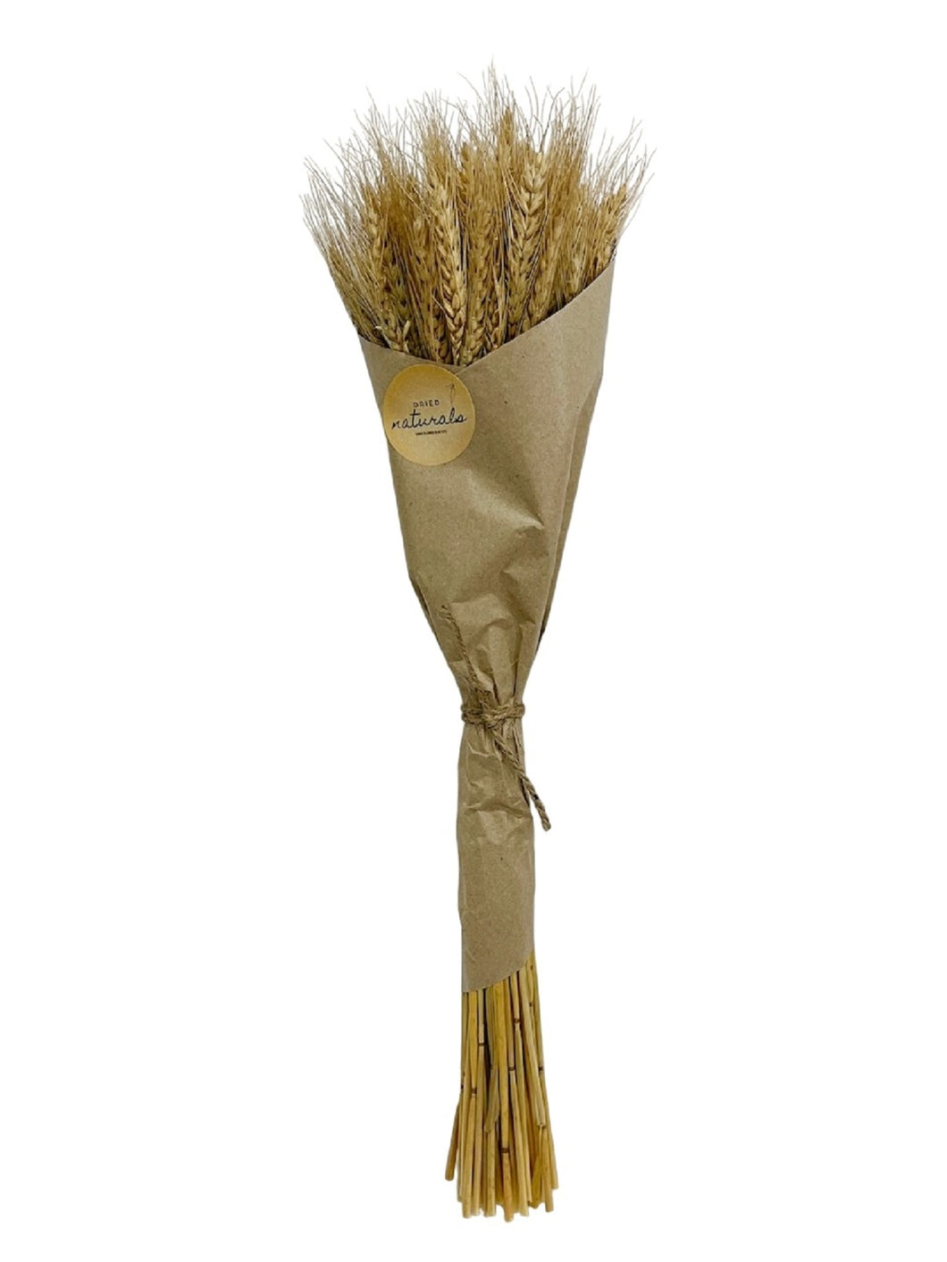 Wheat Grass in Craft Paper Wrap