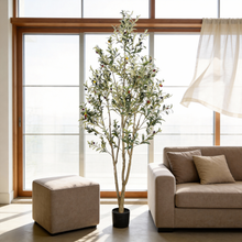 Load image into Gallery viewer, Artificial Olive Tree in Black Plastic Pot, 1pc/set: 7'
