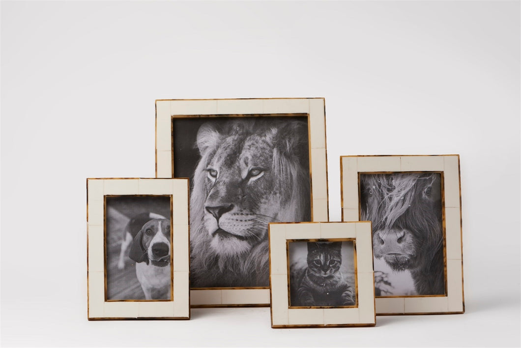 Tortoise Shell Border Picture Frame