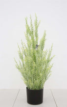 Load image into Gallery viewer, Faux Juniper Plant with Pot
