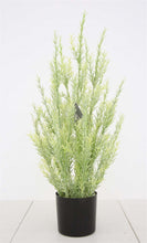 Load image into Gallery viewer, Faux Juniper Plant with Pot
