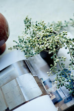 Load image into Gallery viewer, String of Pearls Succulent In Pot
