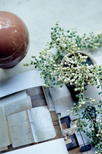 Load image into Gallery viewer, String of Pearls Succulent In Pot
