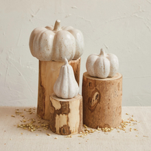 Load image into Gallery viewer, Stoneware Pumpkin
