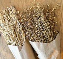 Load image into Gallery viewer, Lily &amp; Marigold Seasonal Subscription Box- Winter Edition
