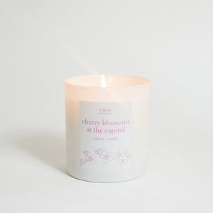 Cherry Blossoms at the Capitol Candle