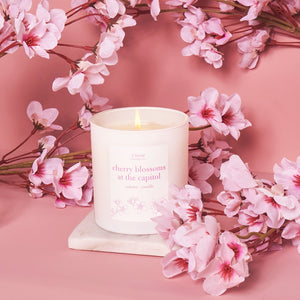 Cherry Blossoms at the Capitol Candle