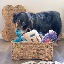 Load image into Gallery viewer, Loxley Pet Storage Basket
