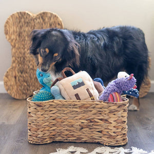 Loxley Pet Storage Basket