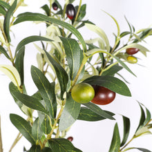 Load image into Gallery viewer, Artificial Olive Tree in Black Plastic Pot, 1pc/set: 7'
