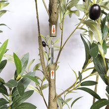 Load image into Gallery viewer, Artificial Olive Tree in Black Plastic Pot, 1pc/set: 7'
