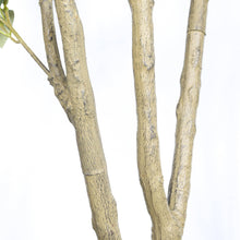 Load image into Gallery viewer, Artificial Olive Tree in Black Plastic Pot, 1pc/set: 7'
